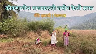 ‘कोकणातील जमीनी वाचवा’ या हेतूने उचललेलं आमचं पहीलं पाऊल | कोकण Kokan Village Mandangad #kokanilife 