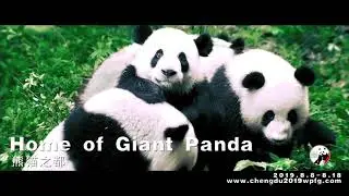 Chengdu to host the 2019 World Police and Fire Games (WPFG)
