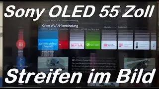 TV Sony OLED 55 Zoll Bild ruckelt. Display defekt?