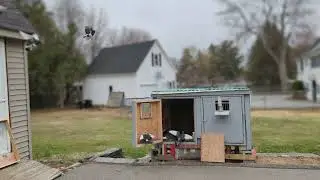 Back In The Sky : Roller Pigeons Training 2 - In and Out of the kit box