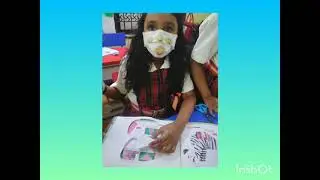 Classroom Activity - Zebras