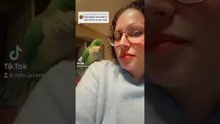 Quaker parrot at your own risk ⚠️He&rsquo;s cute but in reality he&rsquo;s a tiny little green terr0rist🦜👹😅