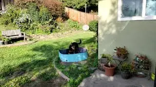 Aspen Pool Fun