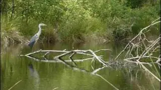 Roderveld 2009(2)