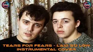 Tears for fears - Laid so low (Instrumental cover)