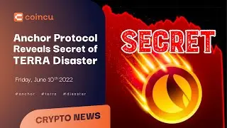 Anchor Protocol reveals secret of Terra disaster | Latest News 10 June 2022 | Crypto News