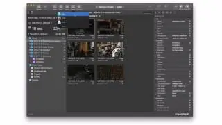 Silverstack v5 Tutorial – How to Create Reports