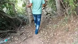 Sangli Haunted Forest encounter wild bull
