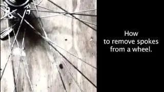 Removing spokes from bike wheel