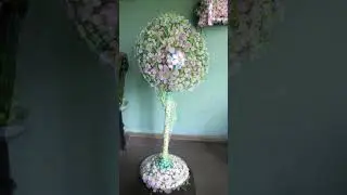 magic wala video #fan
