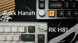 Royal Kludge RK H81 or Rakk Hanan?