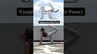 Yoga Pose inspired By Animals🧘🏻&zwj;♀️#animals #inspiration #trendingshorts #viralyoga #viral #youtube