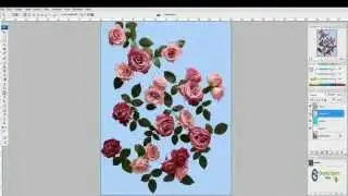Background Removal Services