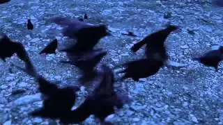 Spook's: Slither Tale by Joseph Delaney - book video trailer