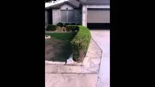 SIDE FLIP OVER BRUSH