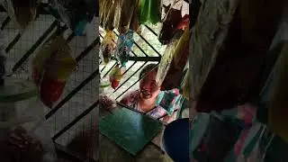 Hay layts Kamera aksyon Part 13