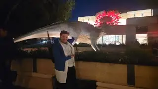 Let's go ride Dinosaur for the last time.