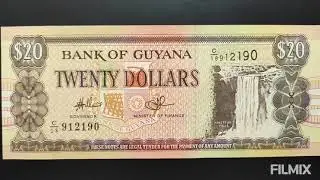 Guyana 🇬🇾 bank note 🌎20 dollars