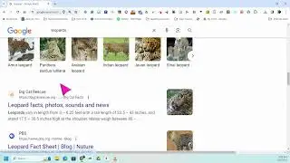 Google research tips