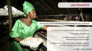 Aviculture familiale - Calcul de la productivité