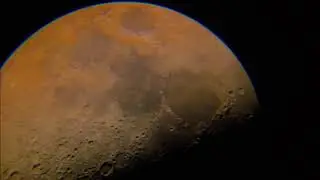 Moon Tintin&rsquo; Tricks