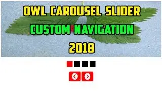 Owl carousel Slider Custom navigation and pagenation - Owl carousel - 2018