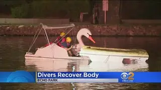 Dive Teams Recover Body In Echo Park Lake Search For Man Who Fell From Paddleboat