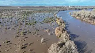 Hamilton City Flood Damage Reduction and Ecosystem Restoration - Phase 1 -  Flooded February 5, 2025