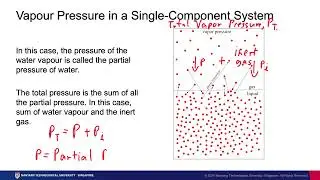 Lesson 04: Part 6