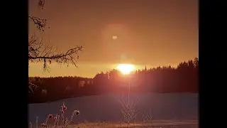 Soita sinun sisäistä soittorasiaa 💖🎼🎵🎶🎶