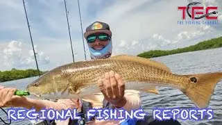 SW Florida Inshore Fishing Report with Eloy Custodio - September 2022