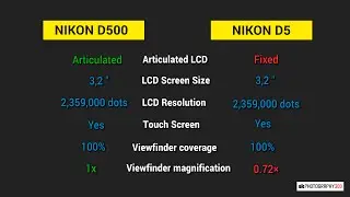 Nikon D500 VS Nikon D5 (Full Specs Compare)