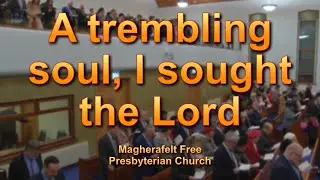 A trembling soul, I sought the Lord