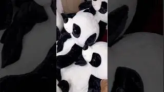🐼 Cute Panda Soft Teddy Bear 😍 #shorts #teddybear #plushtoys #shortsfeed #ytshort #shortsfeed