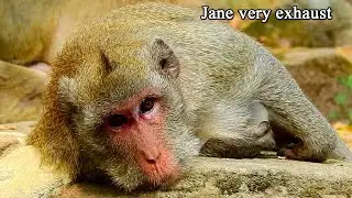 Because of you Jane if you can stop nurse to Janet you will not tired like this, Jane very skinny