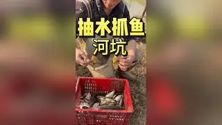 在大河旁边的荒地发现了一个大水坑，今天抽干它看看能抓多少鱼？