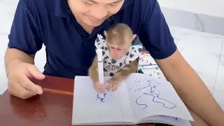 Baby monkey studying is extremely cute and smartest ever