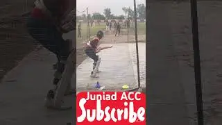 Perfect Back Foot Cut Shot vs Leg Spin | Play Like a Pro Between Point & Third Man 🔥🏏