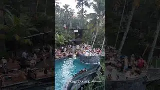 Ubud vibes 🤯 #bali #ubud #cretyaubud
