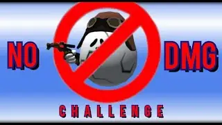 20 Killstreak WITHOUT Damage Challenge! | Shell Shockers!