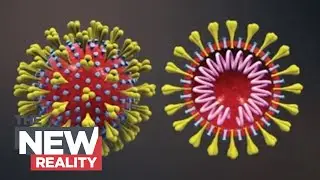 The New Reality: Will COVID-19 variants cause Canada&rsquo;s third wave?
