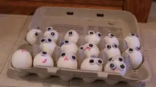 Googly Eyes- Unofficial Video