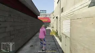 Grand Theft Auto Online Jeremy Manheim