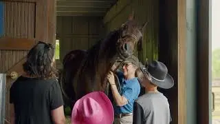 Visit the Kentucky Horse Park