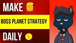 Boss Cat Rocket Club Long Term Investment Strategy!