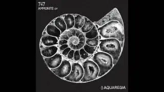 747 - Depth Sounder [Aquaregia 005]