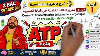 Consommation de la matière organique et production de l'énergie 2BAC - SVT -SPC biof (Partie 1)