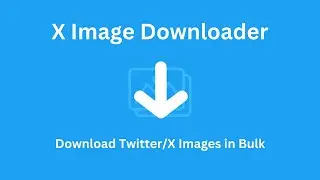 How to Bulk Download Images from X/Twitter in 2025