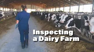 Behind the Scenes of an MDARD Dairy Inspection