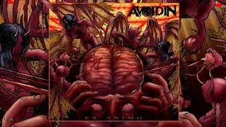 AVoidIn (Israel) - 